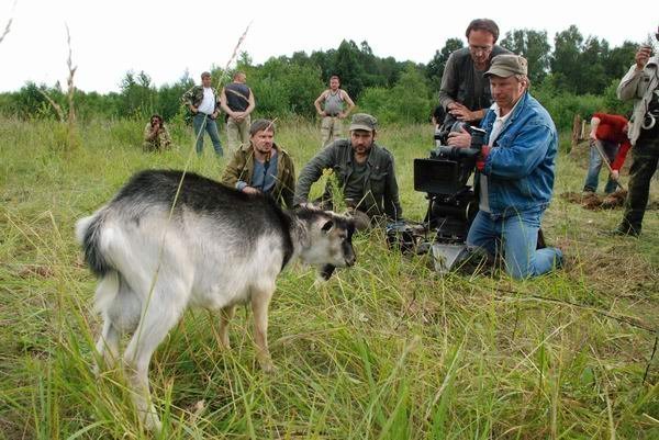 Кадры из Днепровский рубеж (2009)