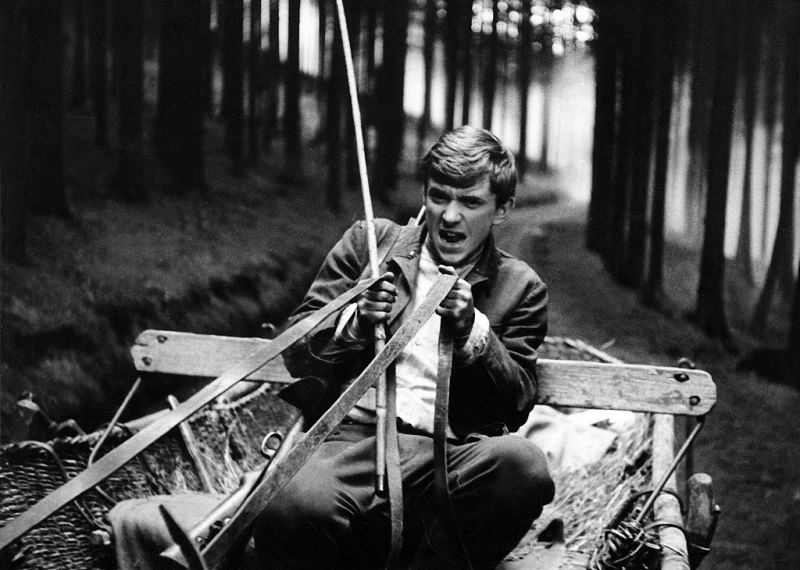 Кадры из Повозка в Вену (1966)