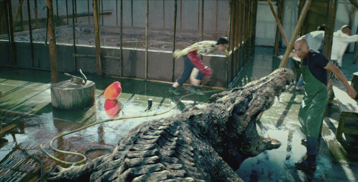 Кадры из Крокодил на миллион долларов (2012)