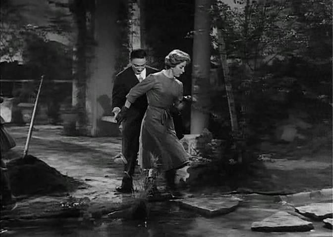 Кадры из Электрическая вдова (1958)