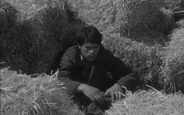 Кадры из Красные рейтузы (1962)