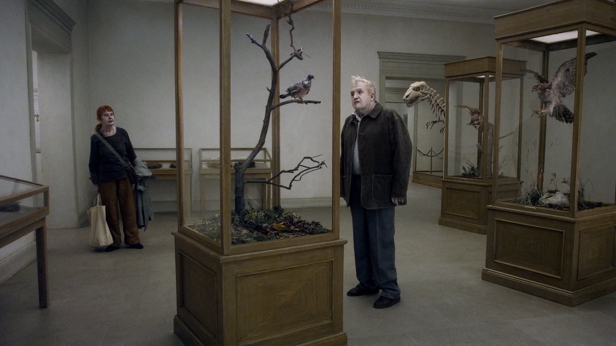 Кадры из Голубь сидел на ветке, размышляя о бытии (2014)