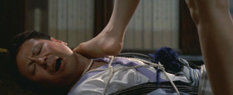 Кадры из Фея в клетке (1977)