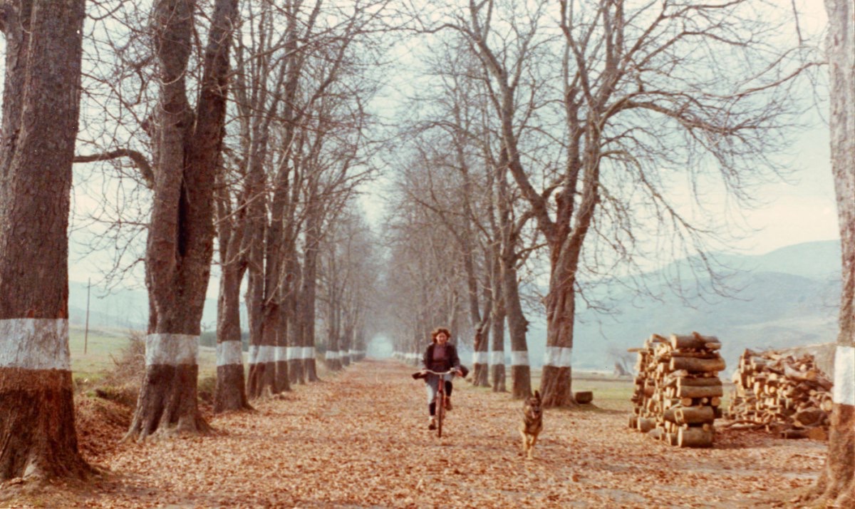 Кадры из Юг (1983)