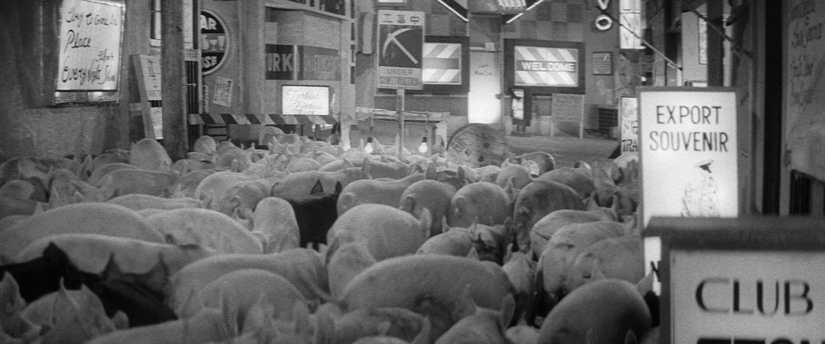Кадры из Свиньи и броненосцы (1961)