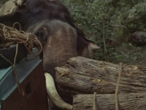 Кадры из Черная гора (1971)
