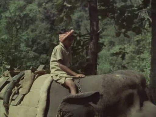 Кадры из Черная гора (1971)