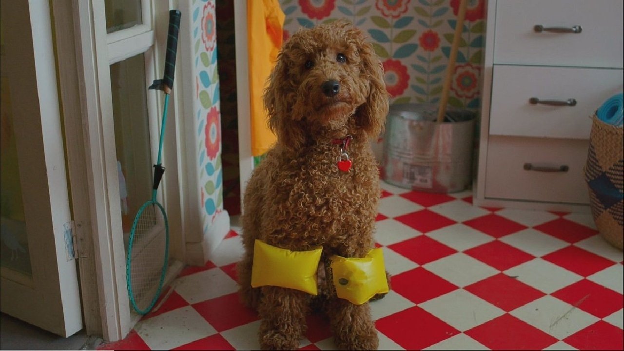 Кадры из Вафлик - говорящий пес (2018)