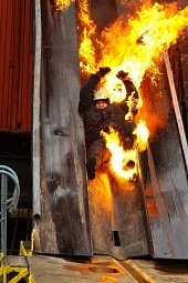 Большая нефть (2009)