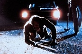 Просто кровь (1984)