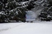 Ясное озеро (2010)