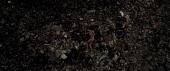 Виновный (2015)