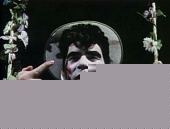 Кафе «Плоть» (1982)