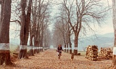 Юг (1983)