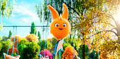 Солнечные зайчики (2015)