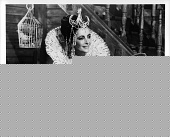 Синяя птица (1976)
