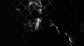 Европа (1991)