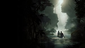 Зелёная граница (2019)