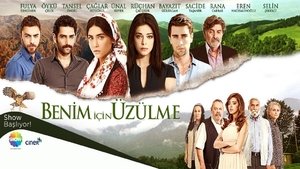 Не беспокойтесь за меня (2012)