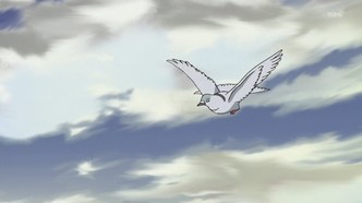 Куми и тюльпан (2015)