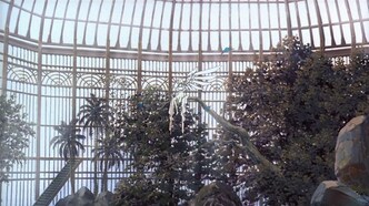 Клевер (1999)