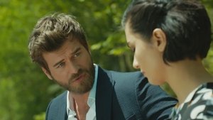 Отважный и красавица (2016)