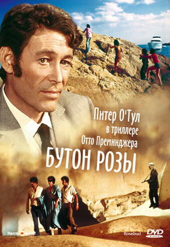 Смотреть Бутон розы онлайн в HD качестве 720p