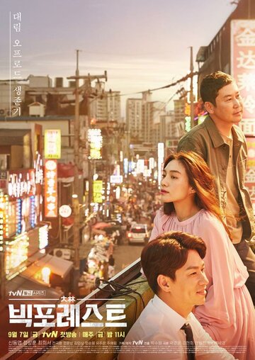 Смотреть Большой лес онлайн в HD качестве 720p