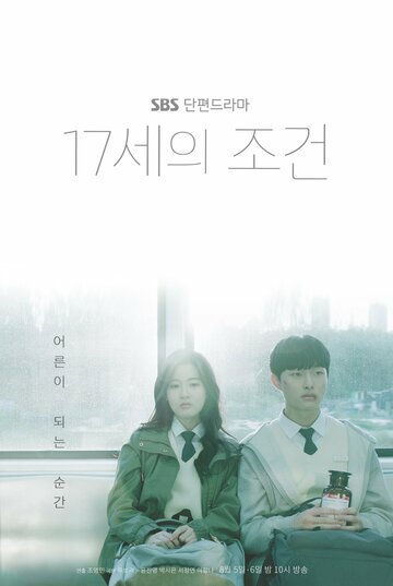 Смотреть Условия 17-летних онлайн в HD качестве 720p