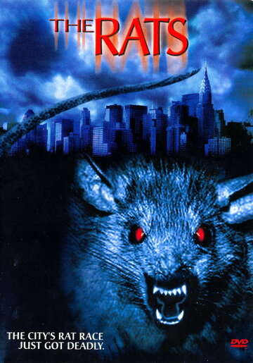 Смотреть Крысы онлайн в HD качестве 720p