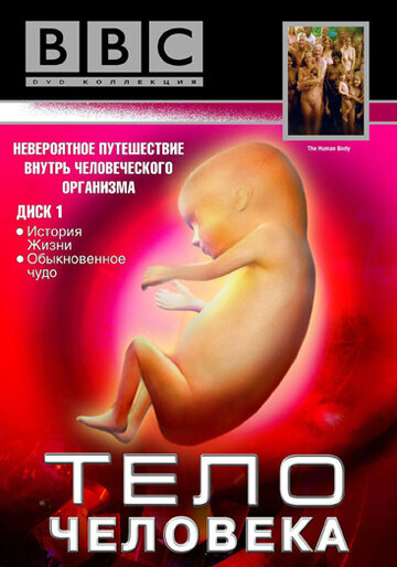 Постер BBC: Тело человека сериал 1998 смотреть онлайн бесплатно в хорошем качестве - HDrezka.by