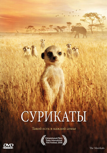 Смотреть Сурикаты онлайн в HD качестве 720p