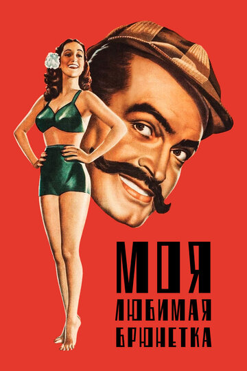 Смотреть Моя любимая брюнетка онлайн в HD качестве 720p