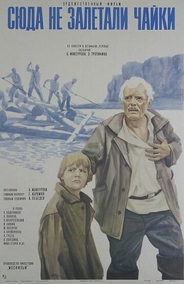 Смотреть Сюда не залетали чайки онлайн в HD качестве 720p