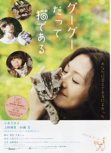 Смотреть Кот по имени Гу-Гу онлайн в HD качестве 720p