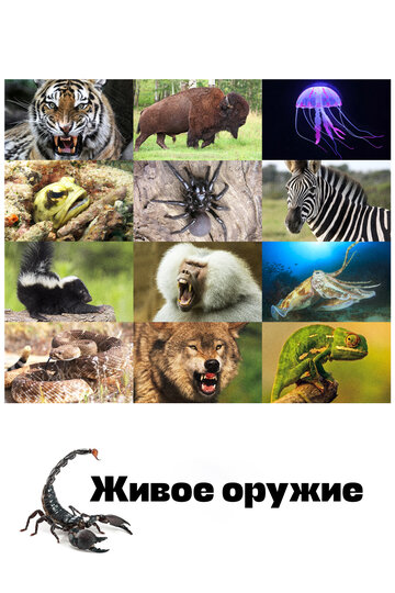 Смотреть Живое оружие онлайн в HD качестве 720p