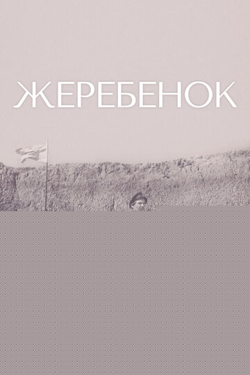 Смотреть Жеребенок онлайн в HD качестве 720p