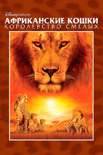 Смотреть Африканские кошки: Королевство смелых онлайн в HD качестве 720p