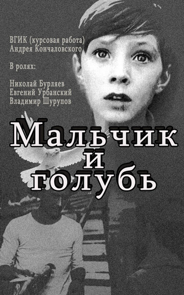 Смотреть Мальчик и голубь онлайн в HD качестве 720p