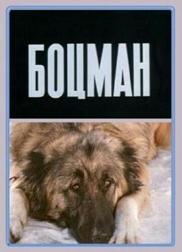 Смотреть Боцман онлайн в HD качестве 720p