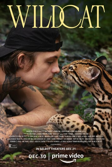 Смотреть Дикая кошка онлайн в HD качестве 720p