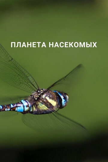 Смотреть Планета насекомых онлайн в HD качестве 720p