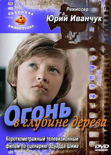 Смотреть Огонь в глубине дерева онлайн в HD качестве 720p