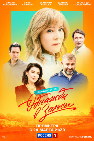 Смотреть Однажды в Залесье онлайн в HD качестве 720p