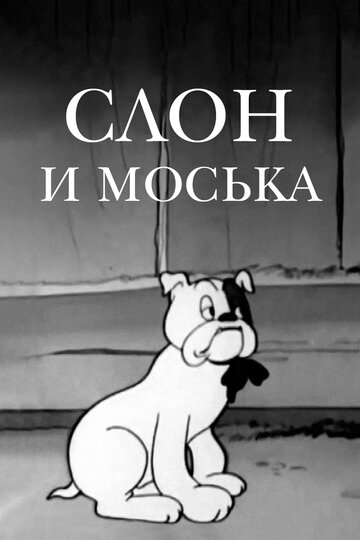 Смотреть Слон и Моська онлайн в HD качестве 720p