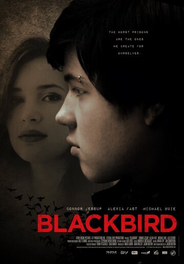 Смотреть Черный дрозд онлайн в HD качестве 720p