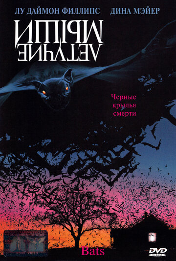 Смотреть Летучие мыши онлайн в HD качестве 720p