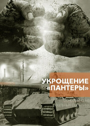 Смотреть Укрощение «Пантеры» онлайн в HD качестве 720p