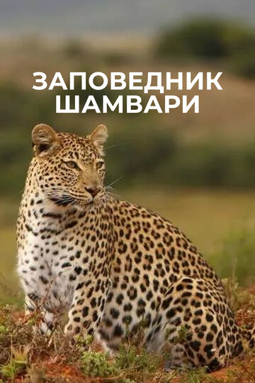 Смотреть Заповедник Шамвари онлайн в HD качестве 720p
