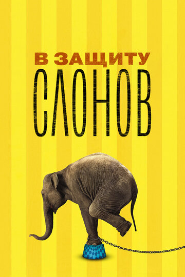 Смотреть В защиту слонов онлайн в HD качестве 720p